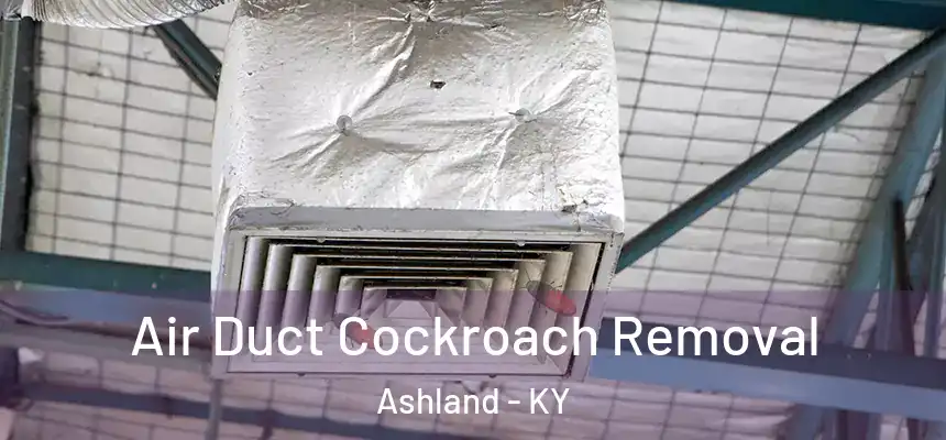  Air Duct Cockroach Removal Ashland - KY