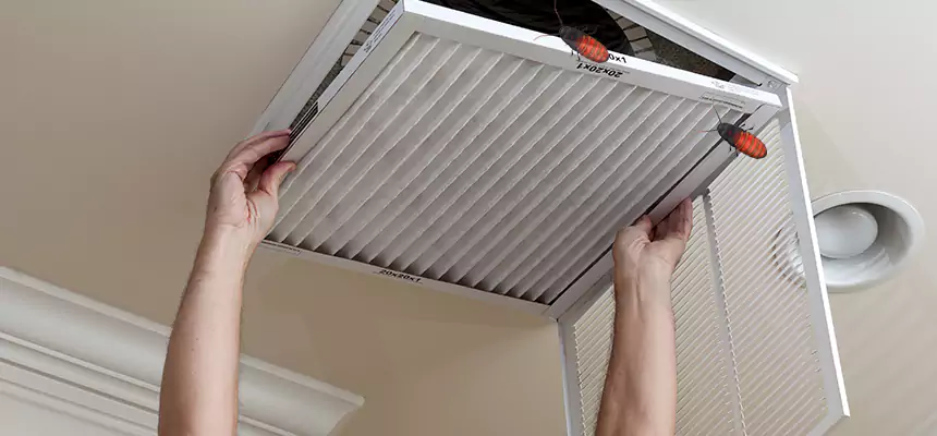 Preventive Cockroach-Proofing for Ducts in Ashland