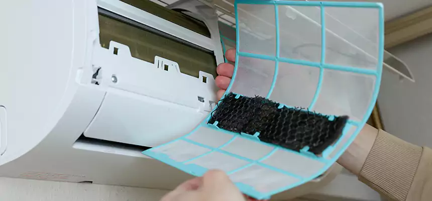 Gentle Ductwork Odor-Control Pet Dander Duct Cleaning in Ashland, KY