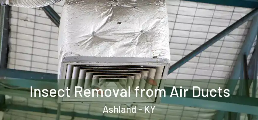 Insect Removal from Air Ducts Ashland - KY