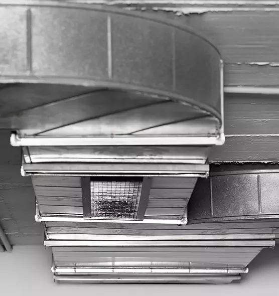 Professional Air Duct Pet Hair Removal in Ashland, KY