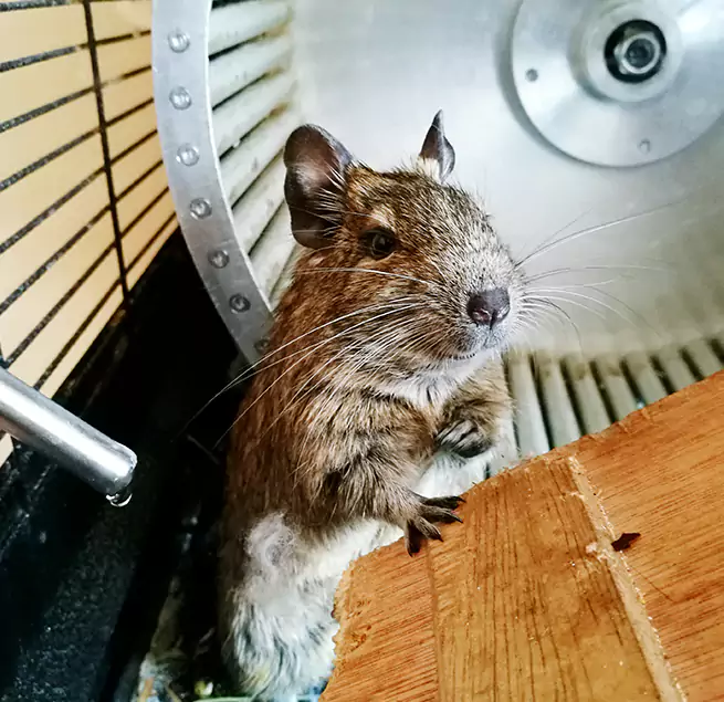 Why Homeowners & Businesses Trust Us Ashland, KY?