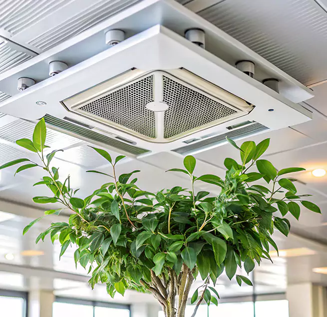 Why Homeowners & Businesses Trust Us in Ashland, KY?